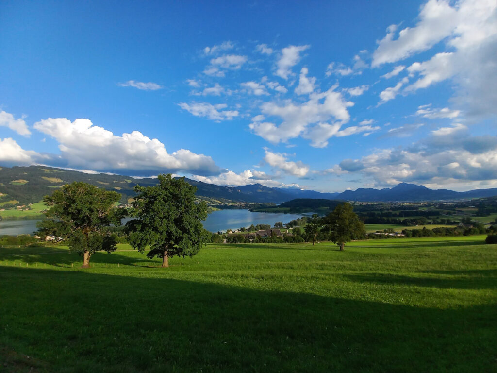 výhľad na jazero Lac de la Gruyère