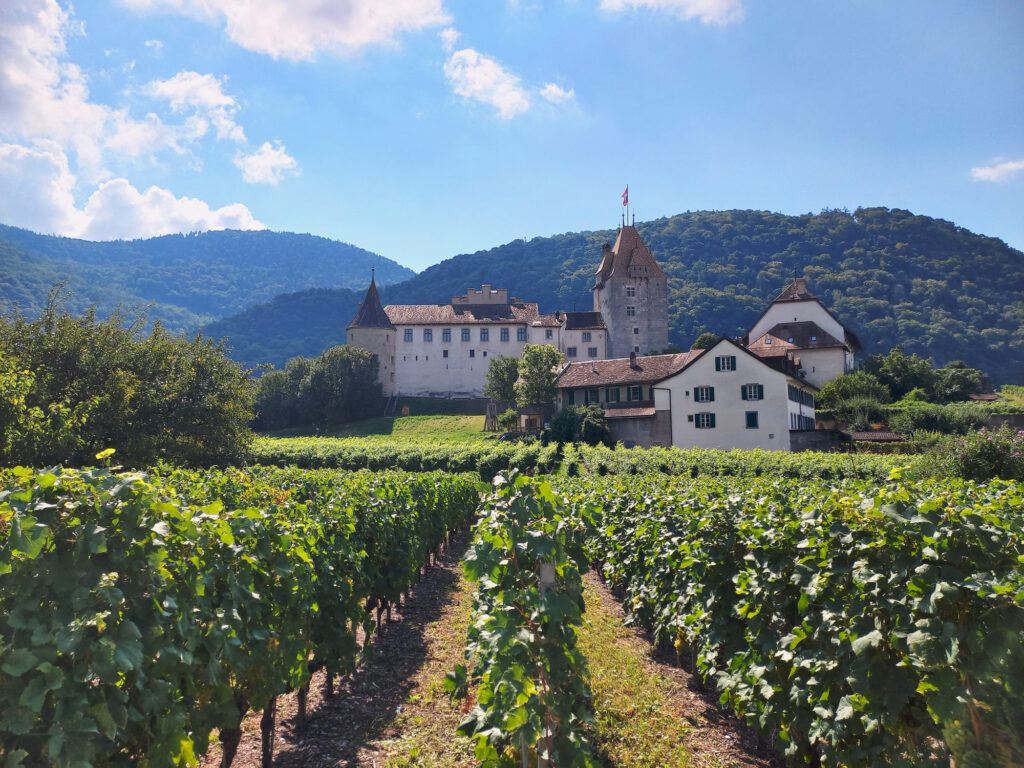Château d’Aigle vineyard Vaud Switzerland