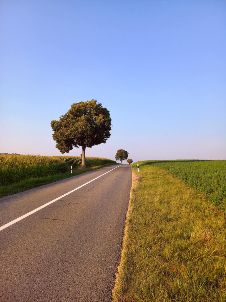 Quiet country road at sunrise between Payerne and Lausanne, Switzerland, during an early morning cycling ride