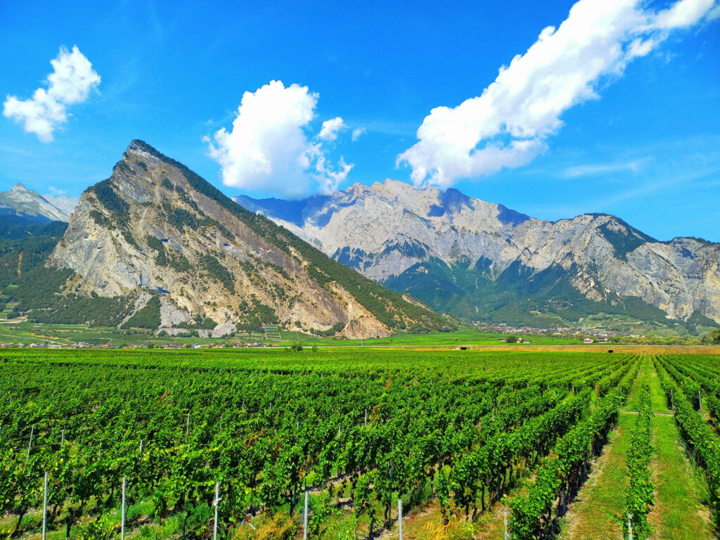 Vineyards in the Rhône Valley in Switzerland with alpine mountains in the background