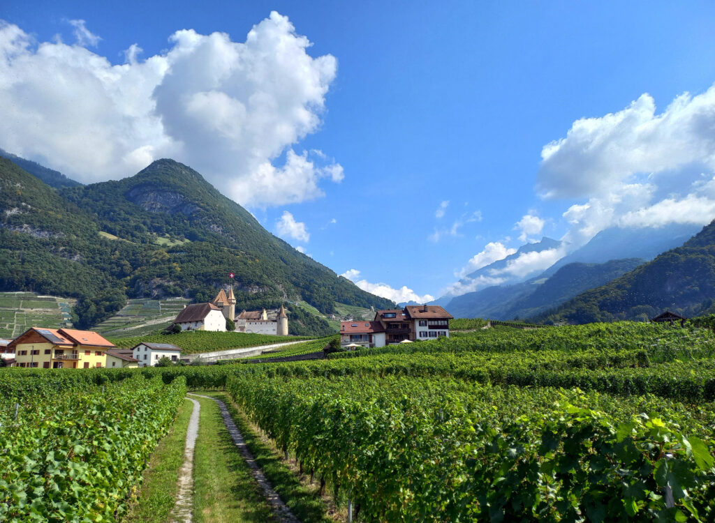 vineyards landscape near Château d’Aigle Vaud Switzerland
