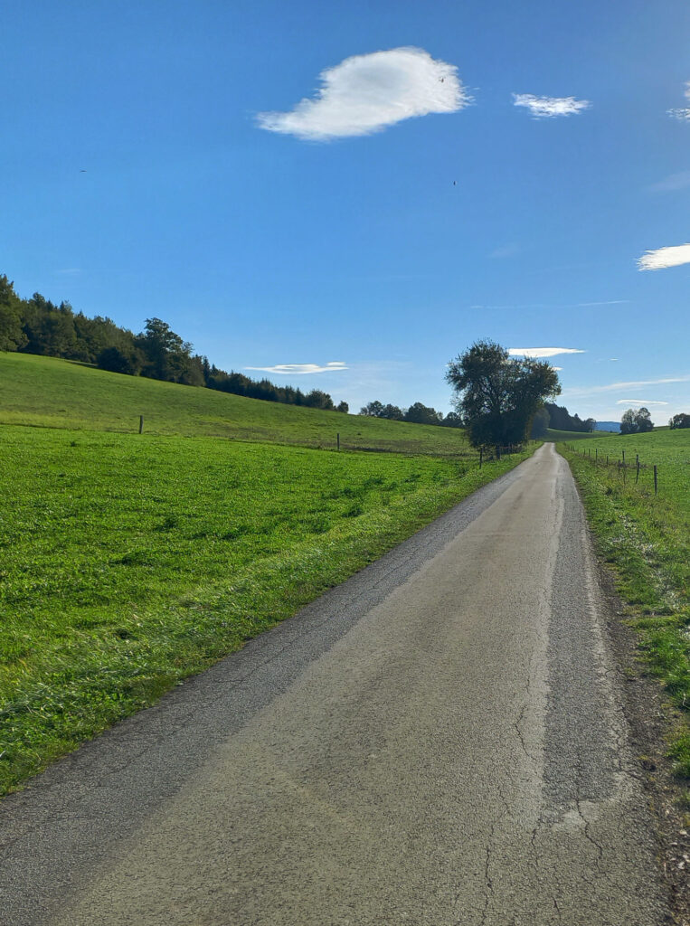 Narrow and quiet road through green meadows in the Jura region of eastern France