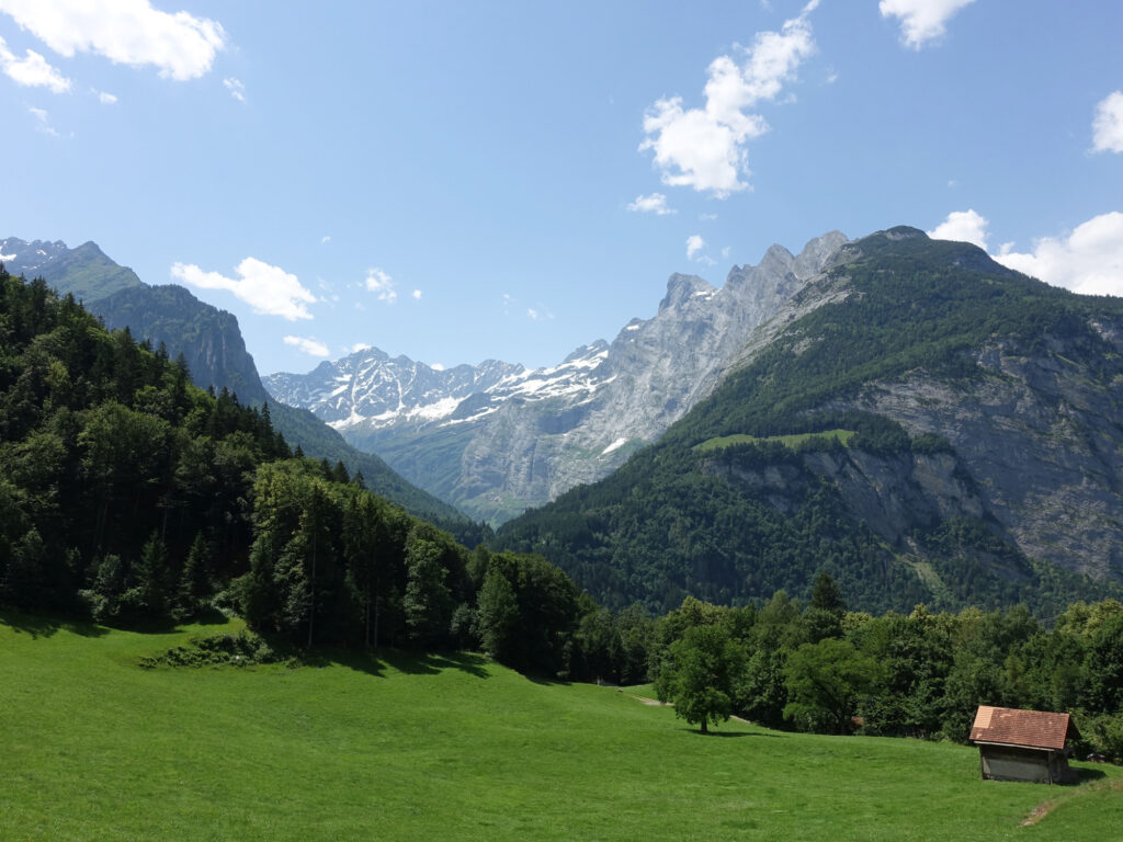 Alpine meadow and snowy peaks on the Susten Pass climb.