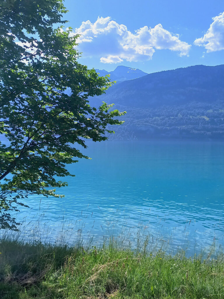 Turquoise Lake Brienz surrounded by Swiss mountains.